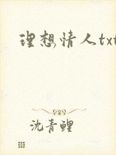理想情人txt