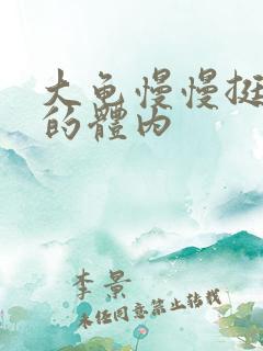 大龟慢慢挺进我的体内