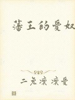 藩王的爱奴