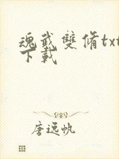 魂武双修txt下载