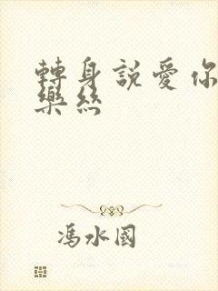 转身说爱你 白乐丝