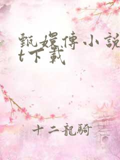 甄嬛传小说txt下载