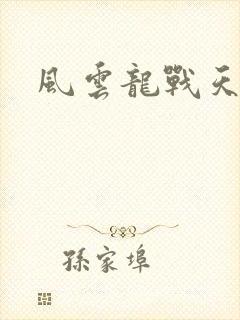 风云龙战天下
