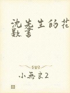 沈先生的花式调数书