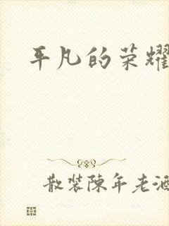 平凡的荣耀小说