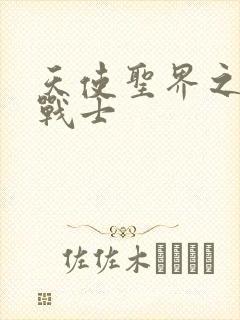 天使圣界之神之战士