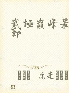 武极巅峰最新章节