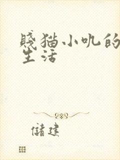 贱猫小叽的幸福生活