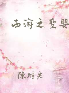 西游之圣婴大王