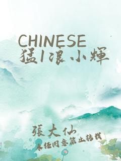 CHINESE猛1浪小辉