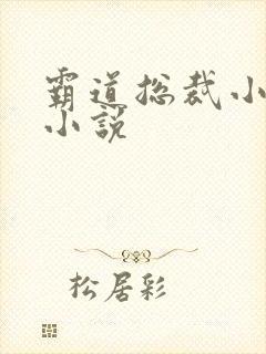 霸道总裁小娇妻小说