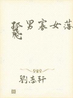 孤男寡女落瑛纷飞