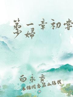 第一章初尝极品少妇