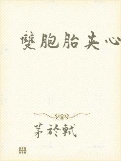 双胞胎夹心运动