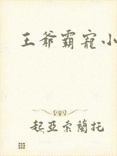 王爷霸宠小甜妻