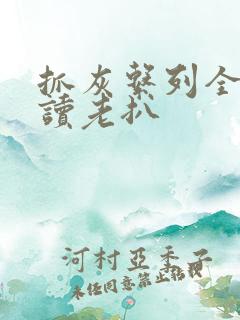 抓灰系列全文阅读老扒