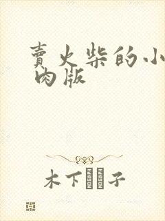 卖火柴的小男孩 肉版