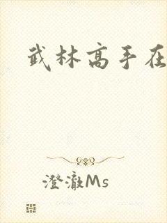 武林高手在官场