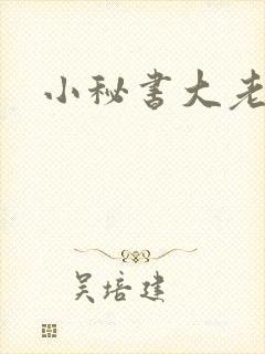 小秘书大老婆