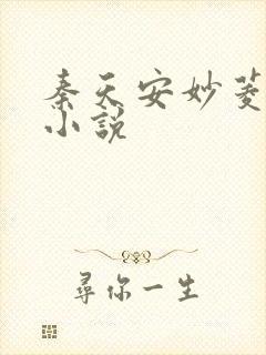 秦天安妙菱修仙小说