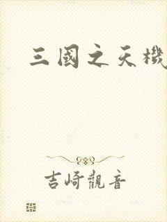 三国之天机军师