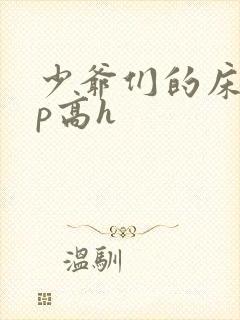 少爷们的床奴np高h