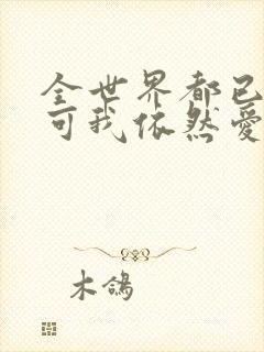全世界都已剧终可我依然爱你