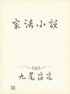 家法小说