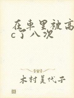 在车里被高潮被c了八次