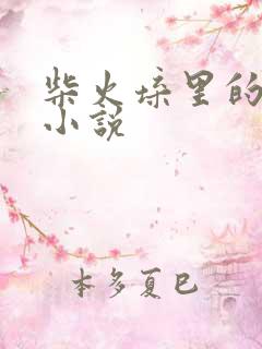 柴火垛里的疯狂小说