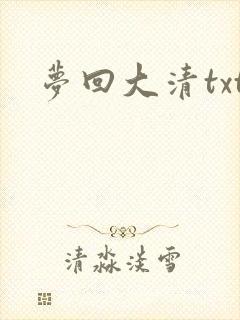 梦回大清txt