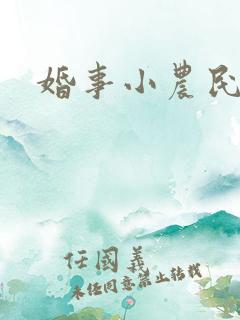 婚事小农民