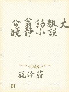 公翁的粗大放进晓静小说