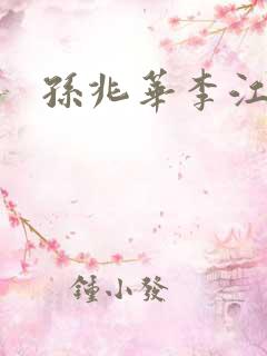 孙兆华李江小说