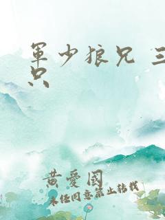 军少狼兄 三两只