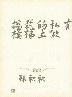 总裁的私有宝贝楼梯上做