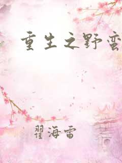 重生之野蛮盗贼