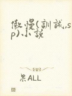 傲慢(训诫,sp)小说