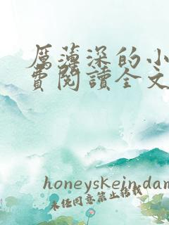 厉薄深的小说免费阅读全文