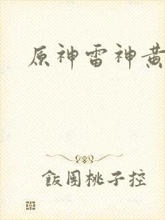 原神雷神黄本本