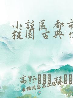 小说区 都市 校园 古典 偷拍