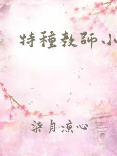 特种教师小说