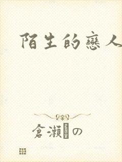 陌生的恋人小说