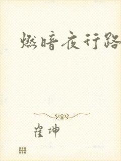 燃暗夜行路