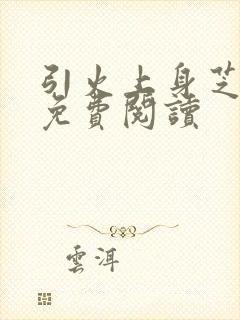 引火上身芝麻糖免费阅读