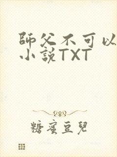 师父不可以灵犀小说TXT