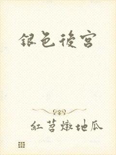 银色后宫