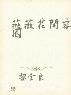 薇薇花开容颜倾国