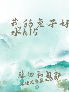 我的兔子好多软水h15