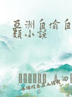 亚洲自偷自拍另类小说